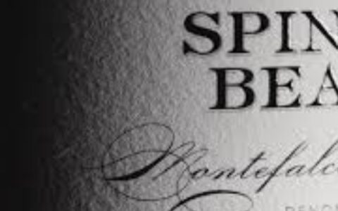 Dettaglio dell'etichetta del vino Spinning Beauty durante la degustazione AC Signature Arnaldo Caprai.